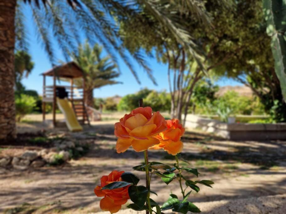 Holiday home Private House With Pool & Garden *